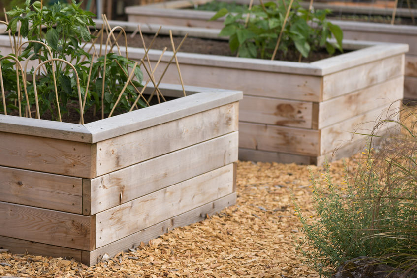 User-Friendly Raised Vegetable Garden Bed