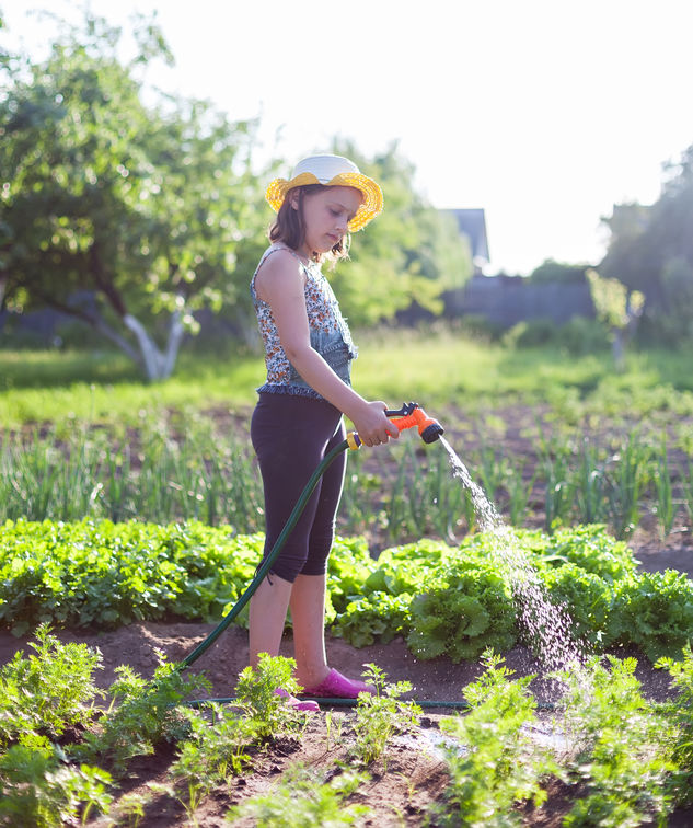 Girl Watering a Vegetable Garden