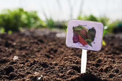 Vegetable Garden Row Marker